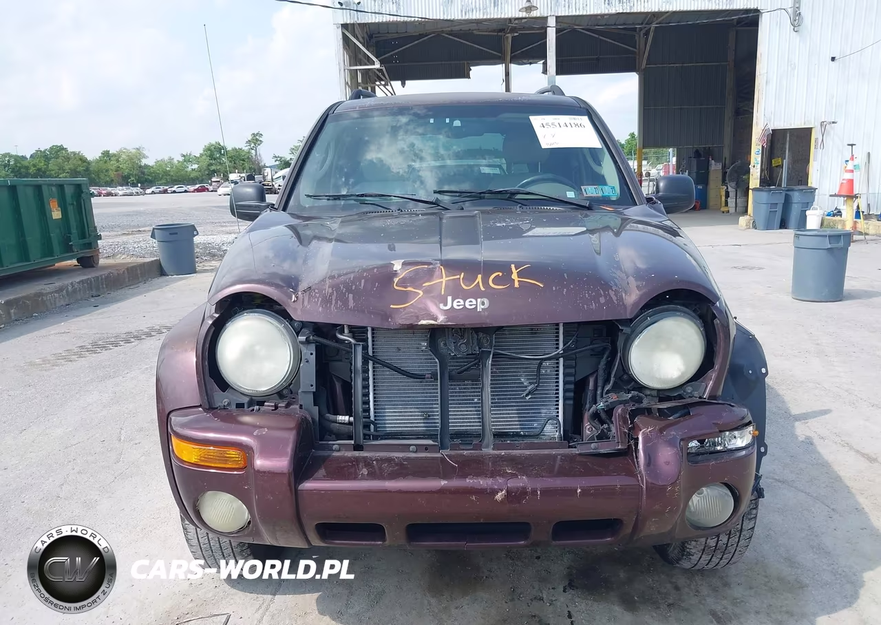 2004 Jeep Liberty Limited Edition VIN:1J4GL58KX4W212300 - 12