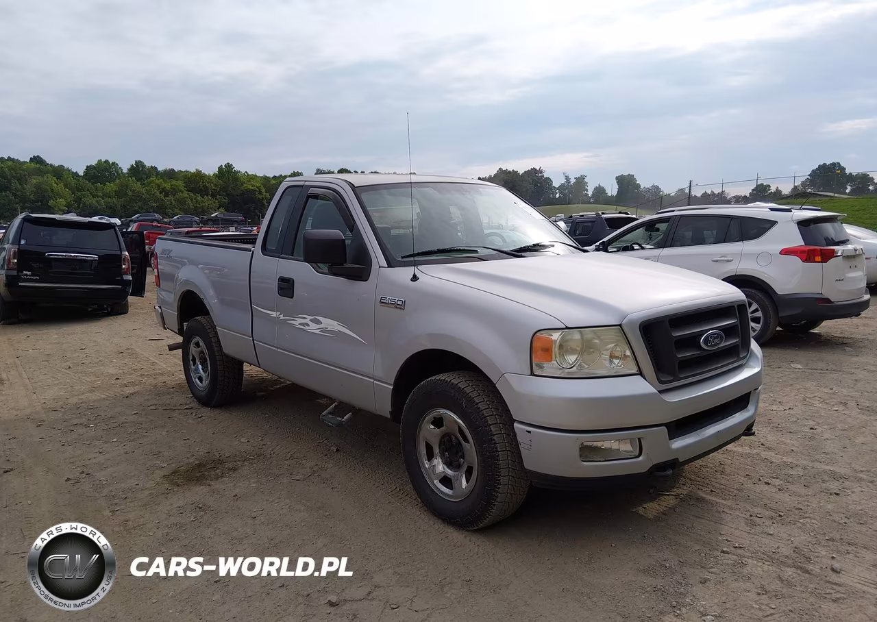 2005 Ford F-150 Stx-Xl-Xlt – zdjęcie 1 z 11