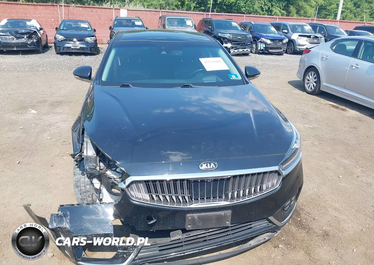 2018 Kia Cadenza Limited VIN:KNALC4J14J5100364 - 12