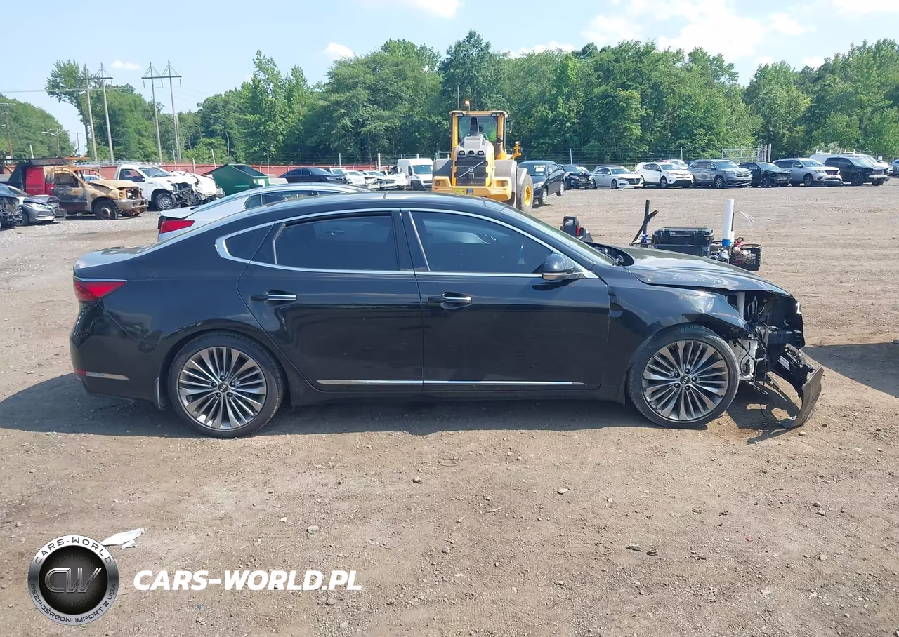 2018 Kia Cadenza Limited VIN:KNALC4J14J5100364 - 13