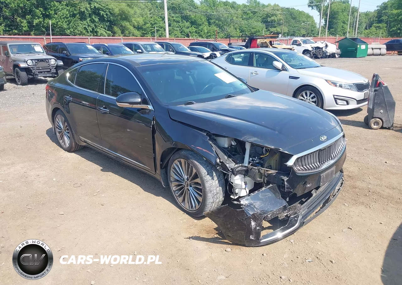 2018 Kia Cadenza Limited VIN:KNALC4J14J5100364 - 17