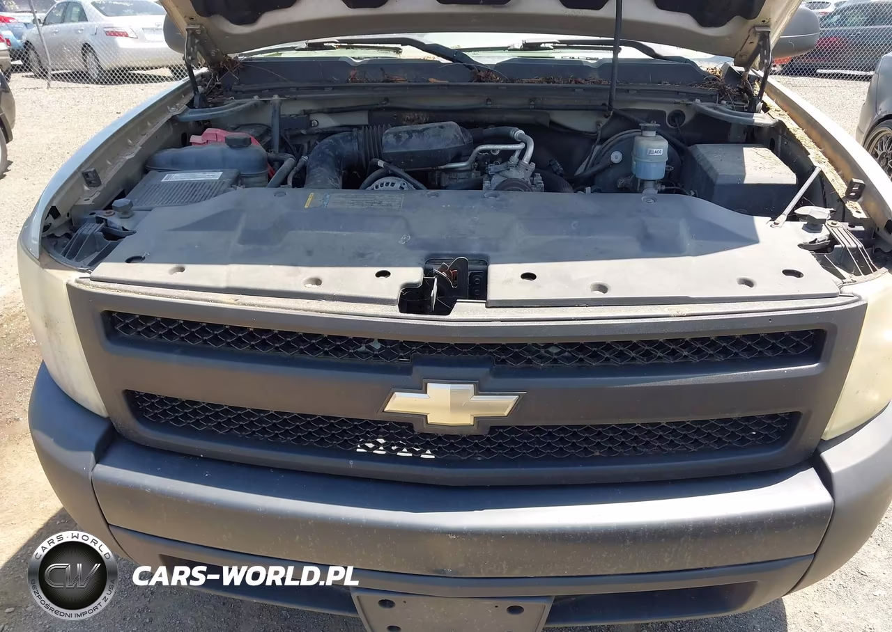 2008 Chevrolet Silverado 1500 Work Truck VIN:1GCEC14X98Z146317 - 6