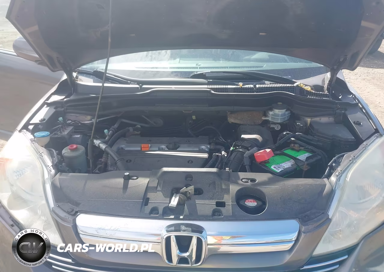 2009 Honda Cr-V Ex-L VIN:5J6RE48729L038434 - 10