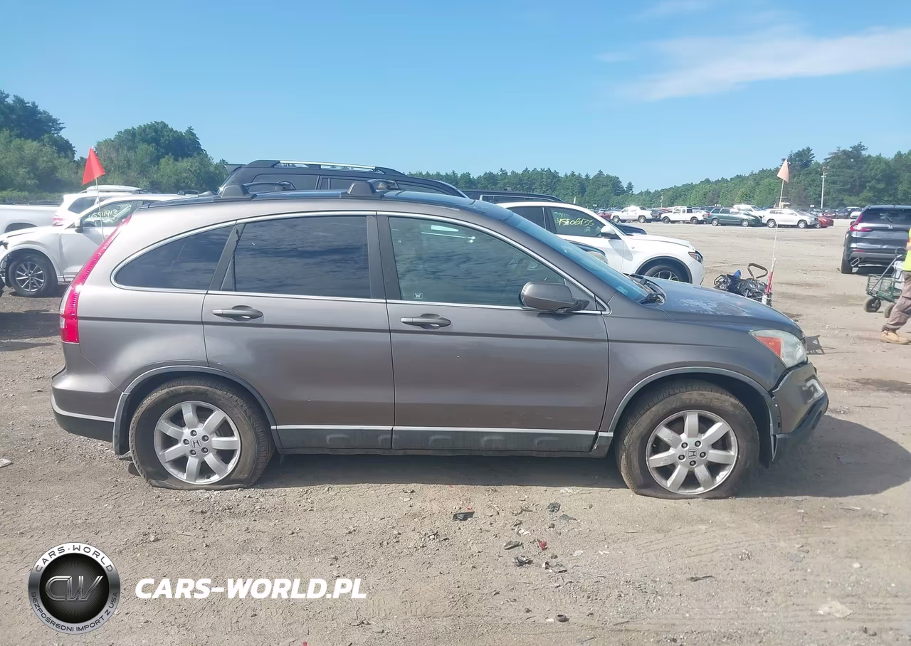 2009 Honda Cr-V Ex-L VIN:5J6RE48729L038434 - 12