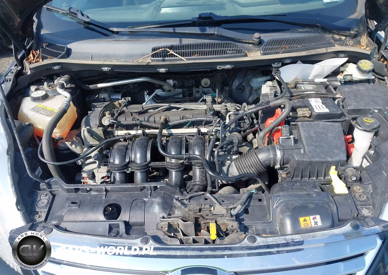 2013 Ford Fiesta Se VIN:3FADP4BJ1DM191074 - 10