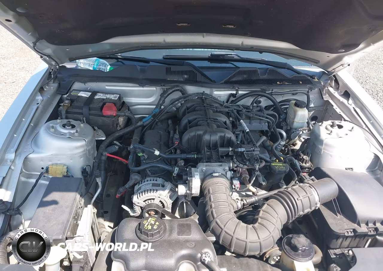 2010 Ford Mustang V6-V6 Premium VIN:1ZVBP8AN1A5170981 - 10