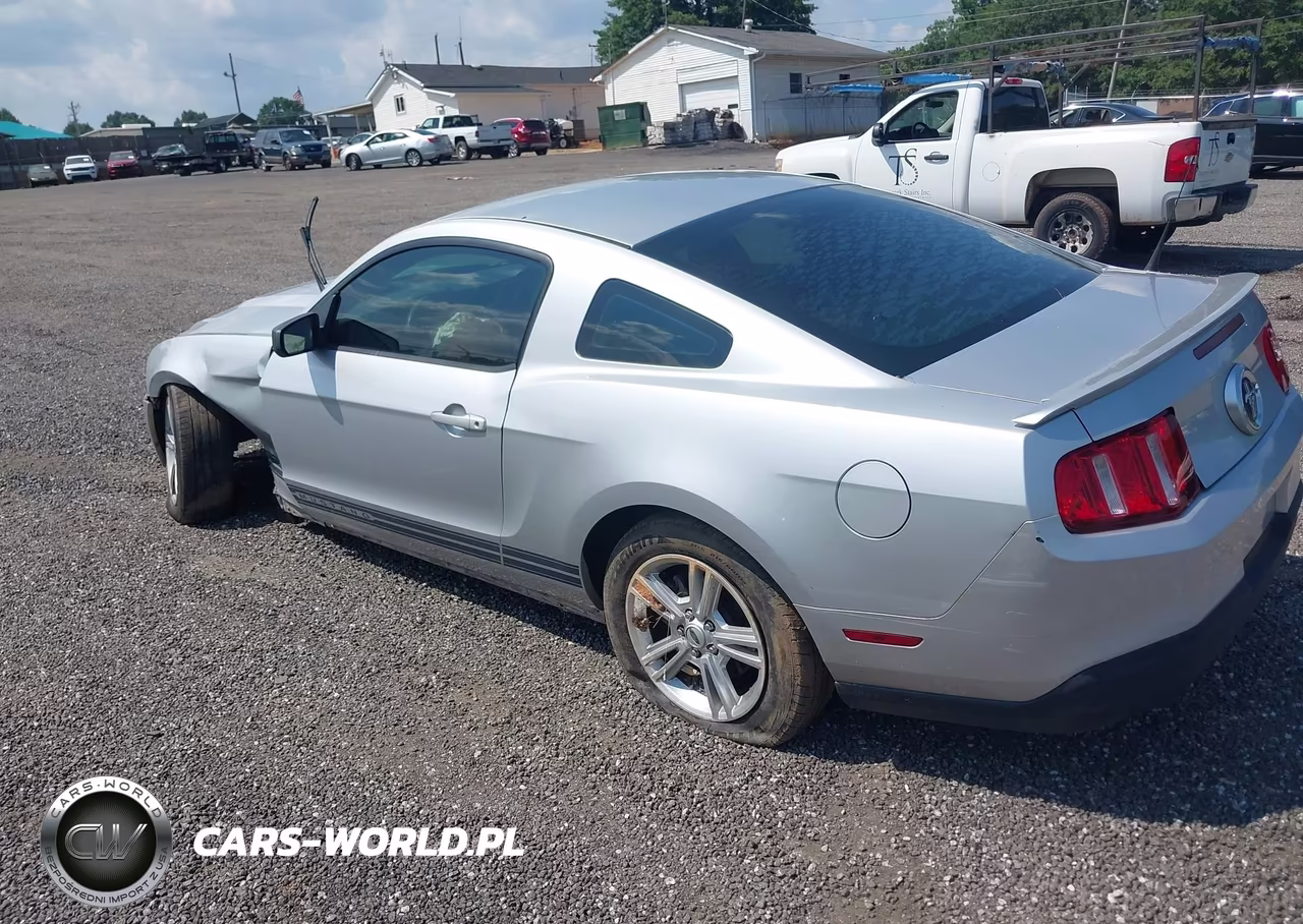 2010 Ford Mustang V6-V6 Premium VIN:1ZVBP8AN1A5170981 - 3