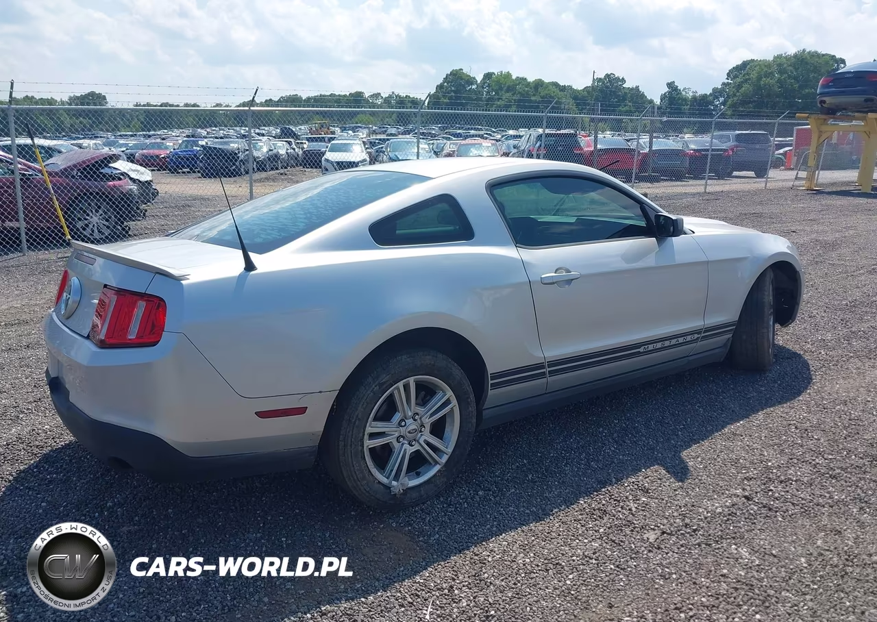 2010 Ford Mustang V6-V6 Premium VIN:1ZVBP8AN1A5170981 - 4