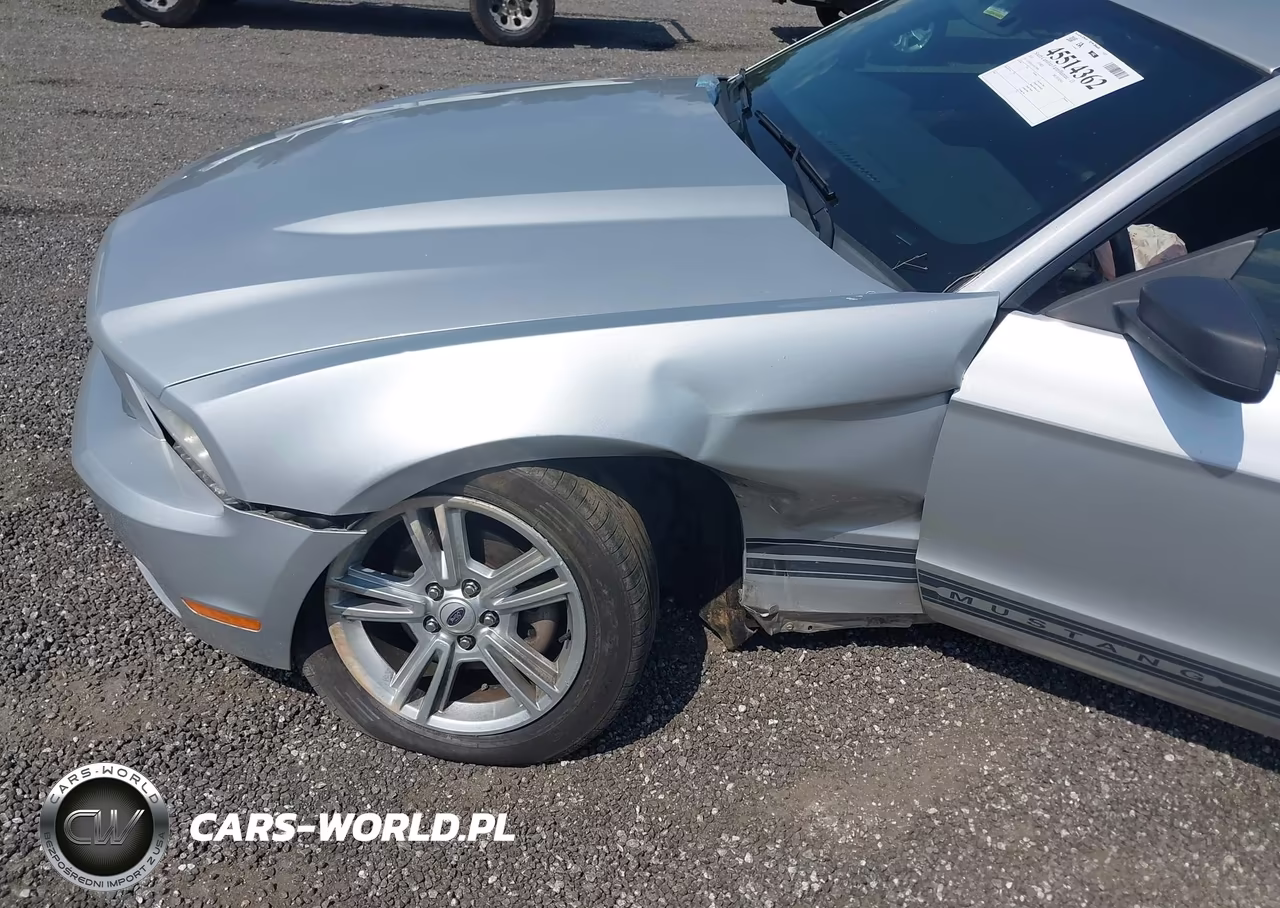 2010 Ford Mustang V6-V6 Premium VIN:1ZVBP8AN1A5170981 - 6