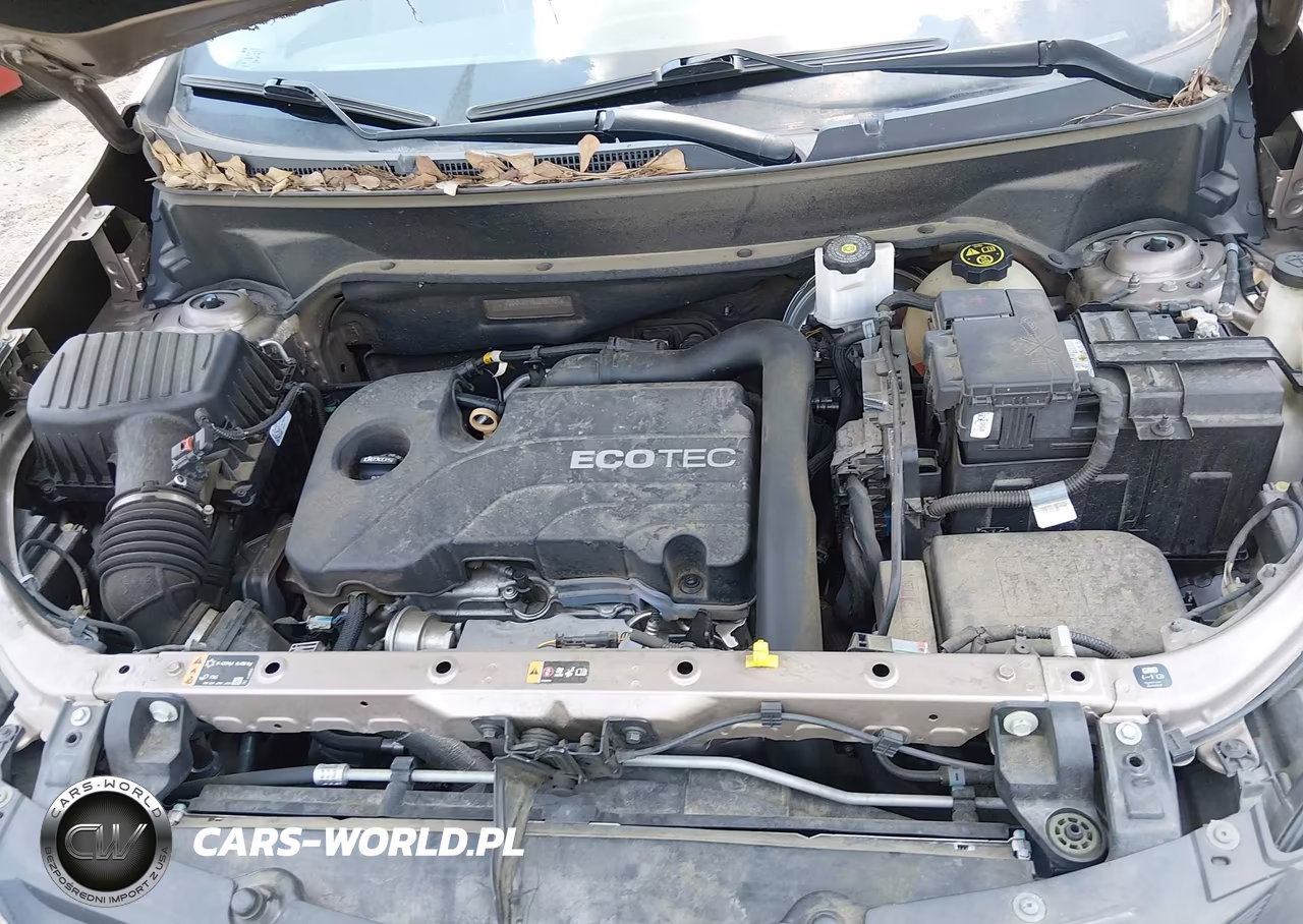 2019 Chevrolet Equinox Lt VIN:2GNAXKEV8K6131131 - 10