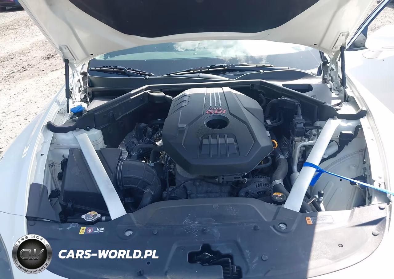 2018 Kia Stinger Premium VIN:KNAE25LA9J6033091 - 10
