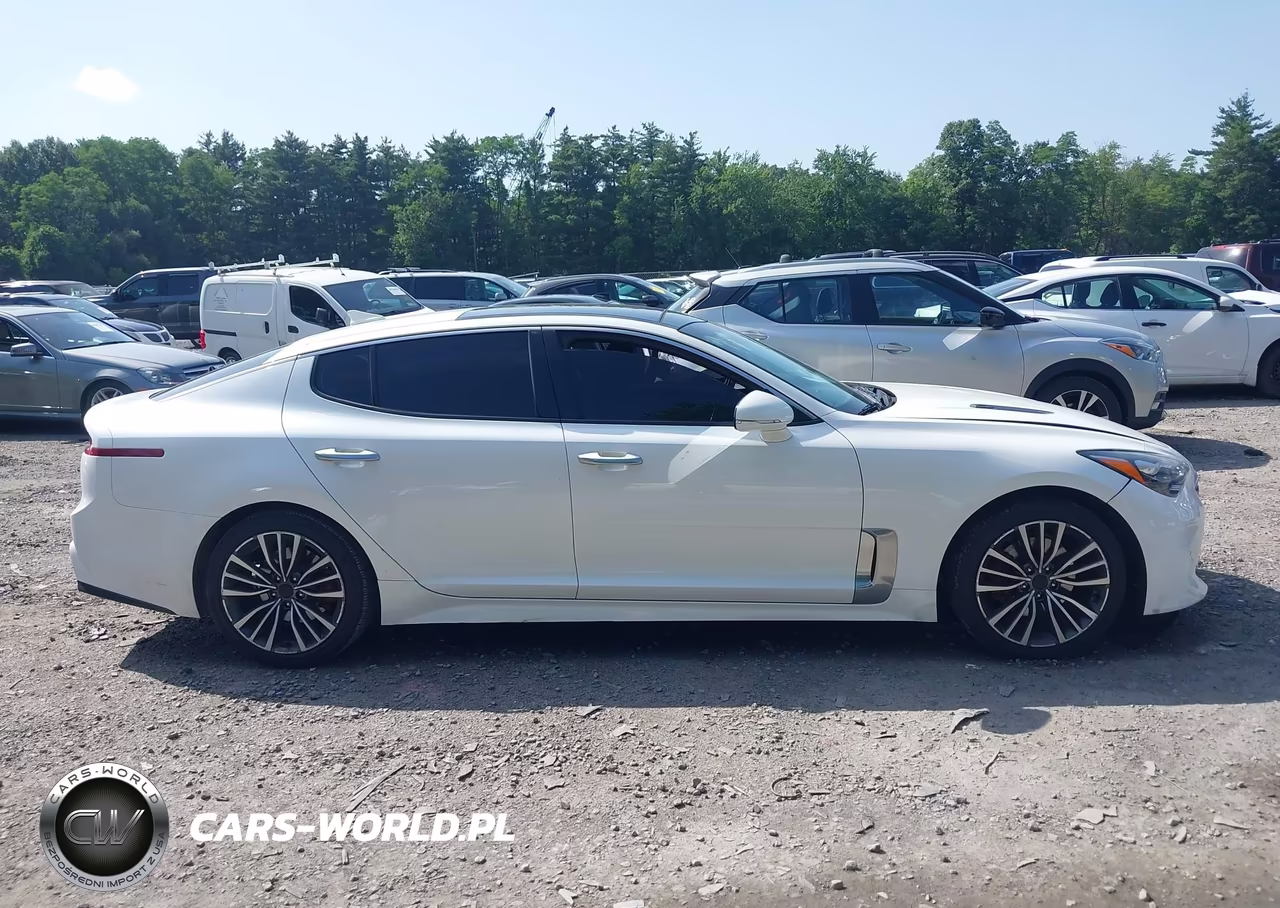 2018 Kia Stinger Premium VIN:KNAE25LA9J6033091 - 13