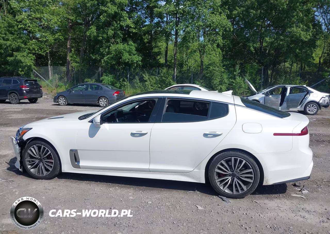 2018 Kia Stinger Premium VIN:KNAE25LA9J6033091 - 14