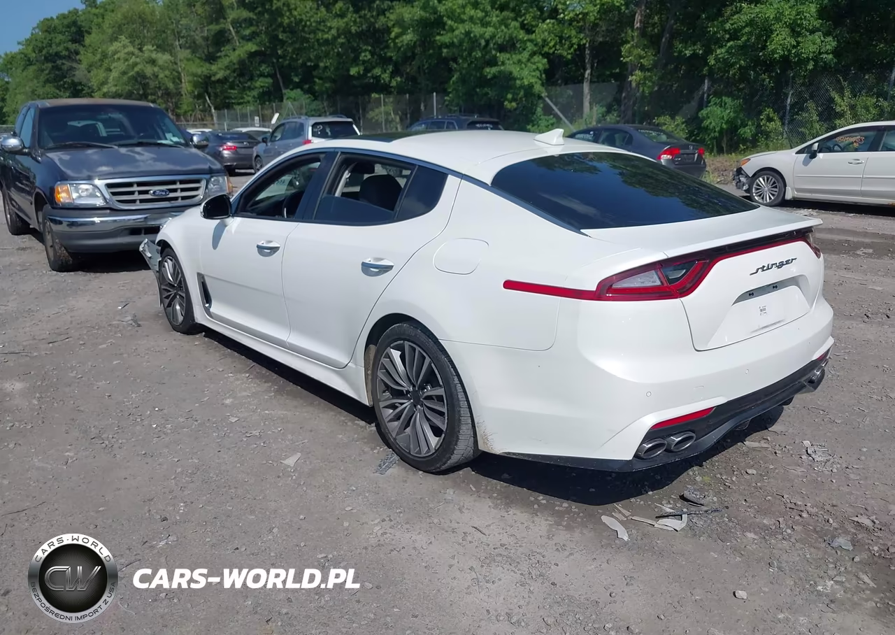 2018 Kia Stinger Premium VIN:KNAE25LA9J6033091 - 3
