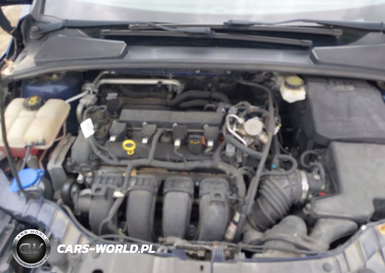 2016 Ford Focus Se VIN:1FADP3K28GL343313 - 10
