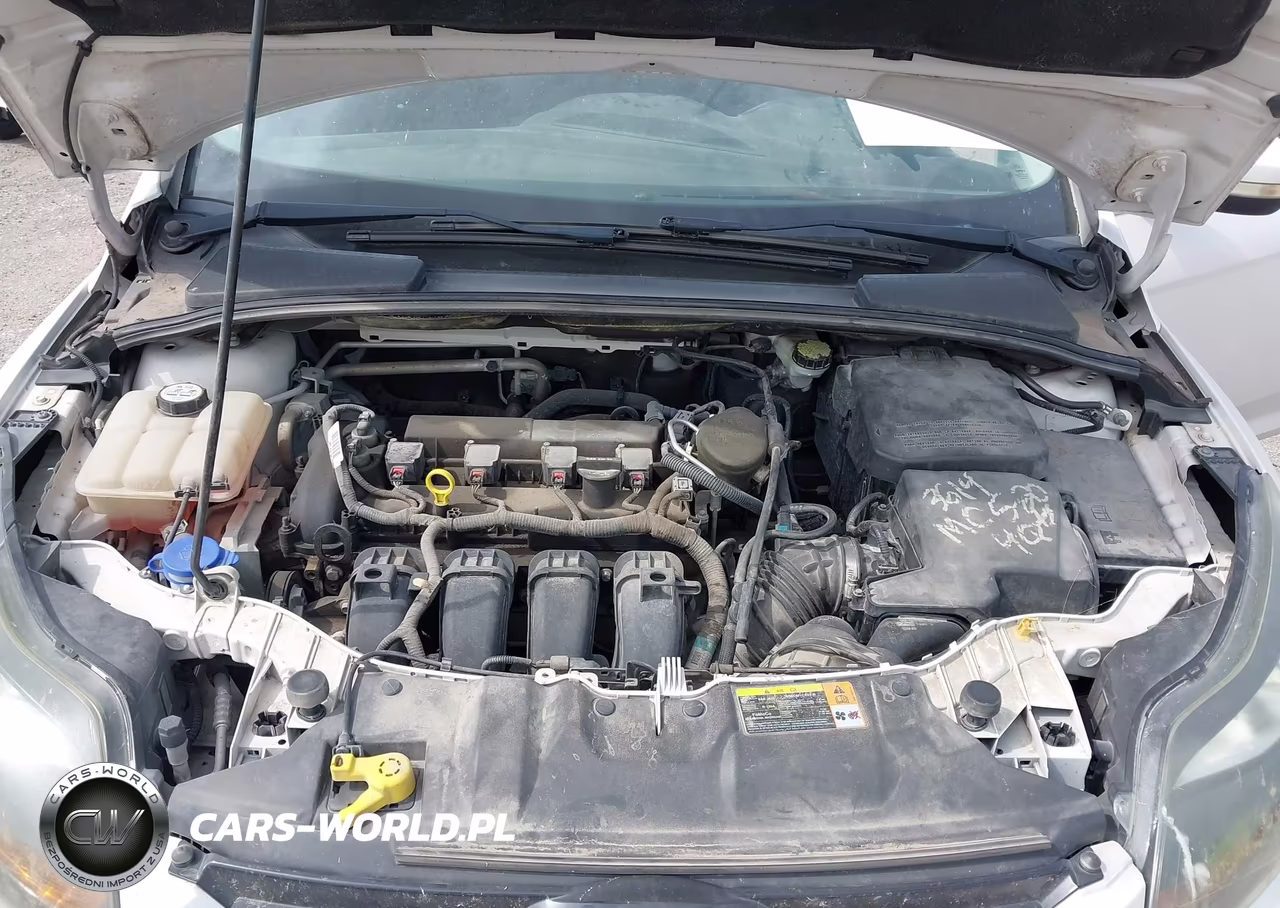 2013 Ford Focus Titanium VIN:1FADP3N21DL115676 - 10