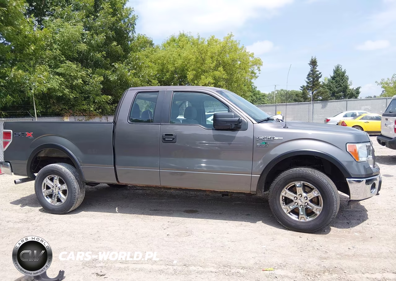 2012 Ford F-150 Stx VIN:1FTFX1EFXCKE22763 - 14