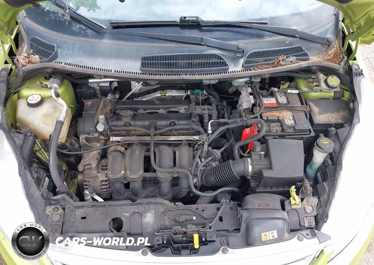 2013 Ford Fiesta Se VIN:3FADP4BJ4DM176276 - 10