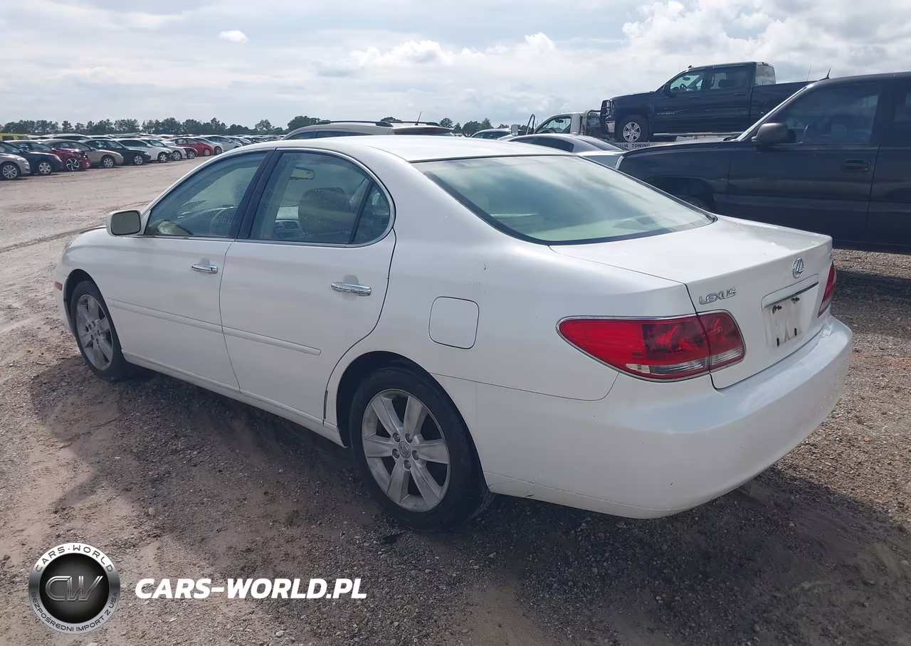 2006 Lexus Es 330 VIN:JTHBA30G965174311 - 3
