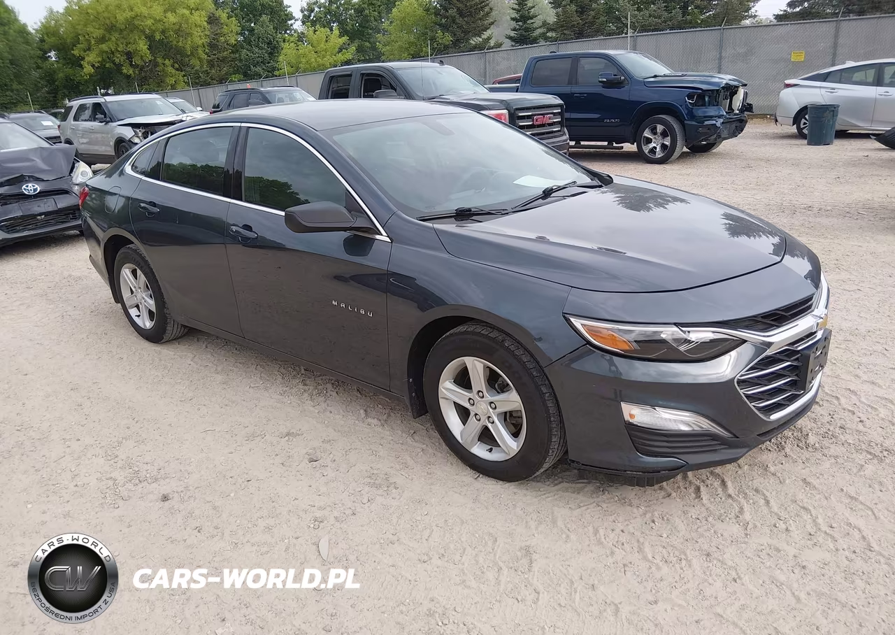 2019 Chevrolet Malibu 1Ls