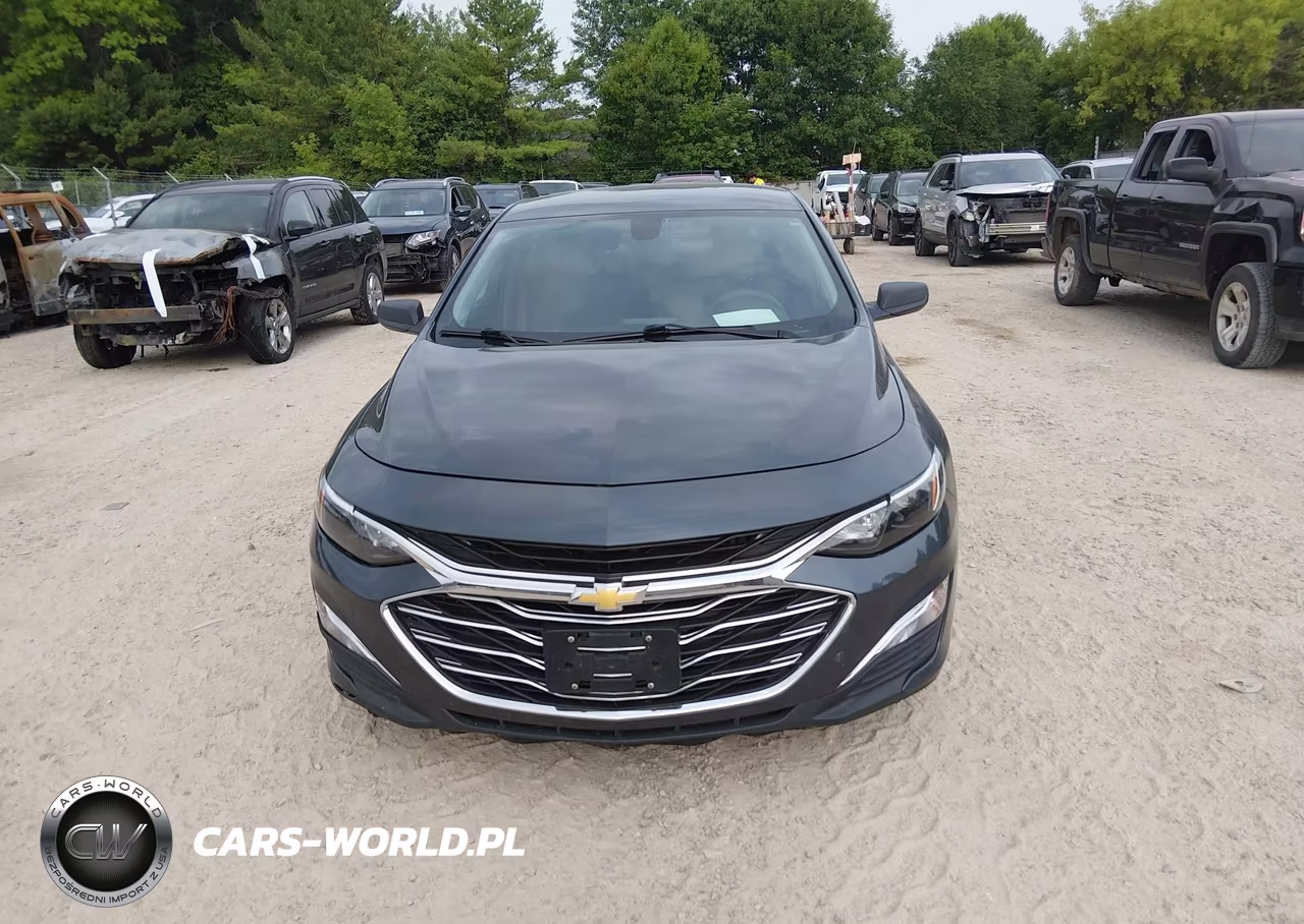 2019 Chevrolet Malibu 1Ls VIN:1G1ZB5STXKF176486 - 12