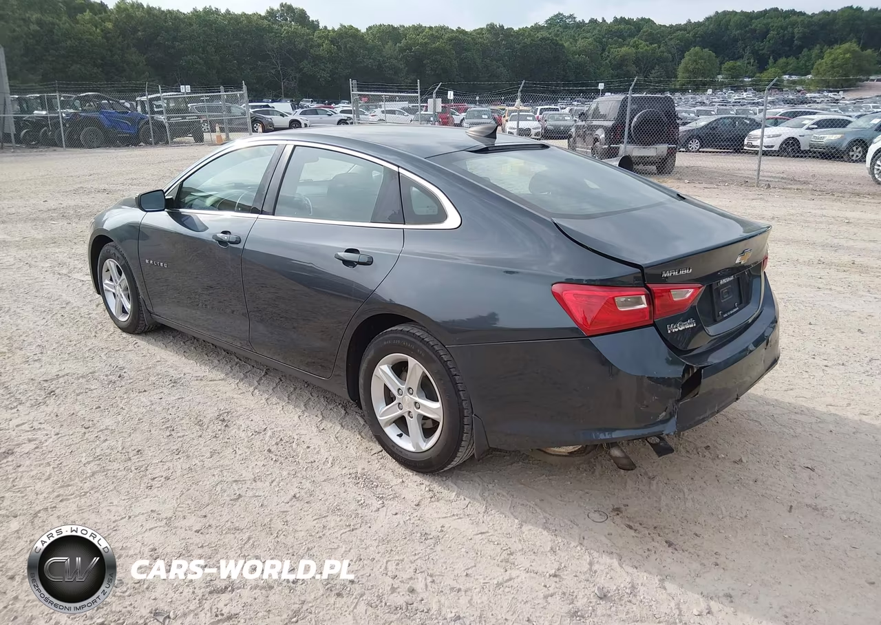 2019 Chevrolet Malibu 1Ls VIN:1G1ZB5STXKF176486 - 3