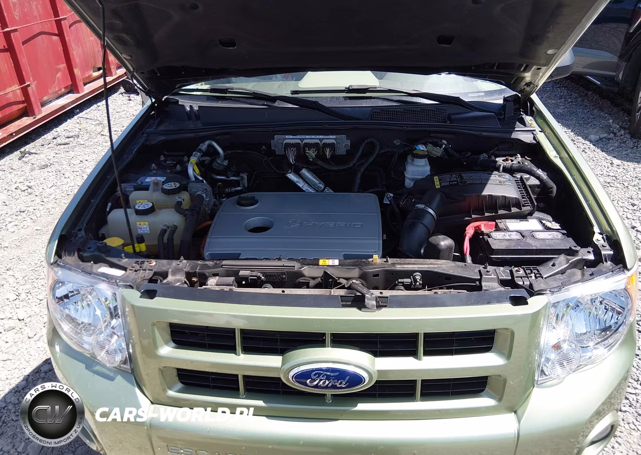 2010 Ford Escape Hybrid Limited VIN:1FMCU5K3XAKB44338 - 10