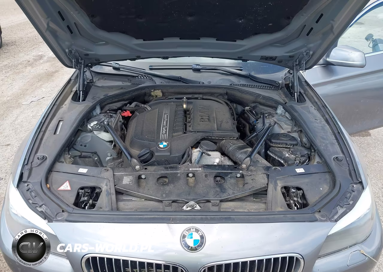 2013 BMW 535I xDrive VIN:WBAFU7C55DDU67523 - 10