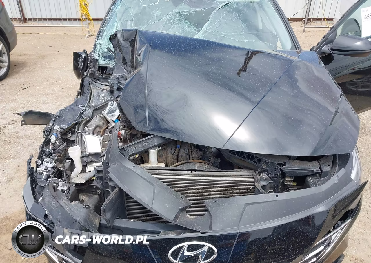 2021 Hyundai Elantra Limited VIN:KMHLP4AG7MU169888 - 10