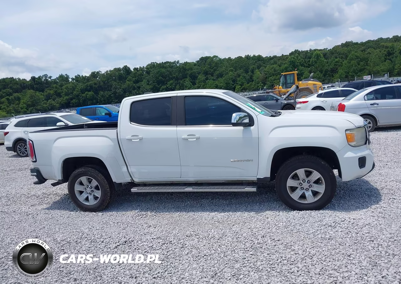 2017 GMC Canyon 2Wd Sle VIN:1GTG5CEA2H1144741 - 13