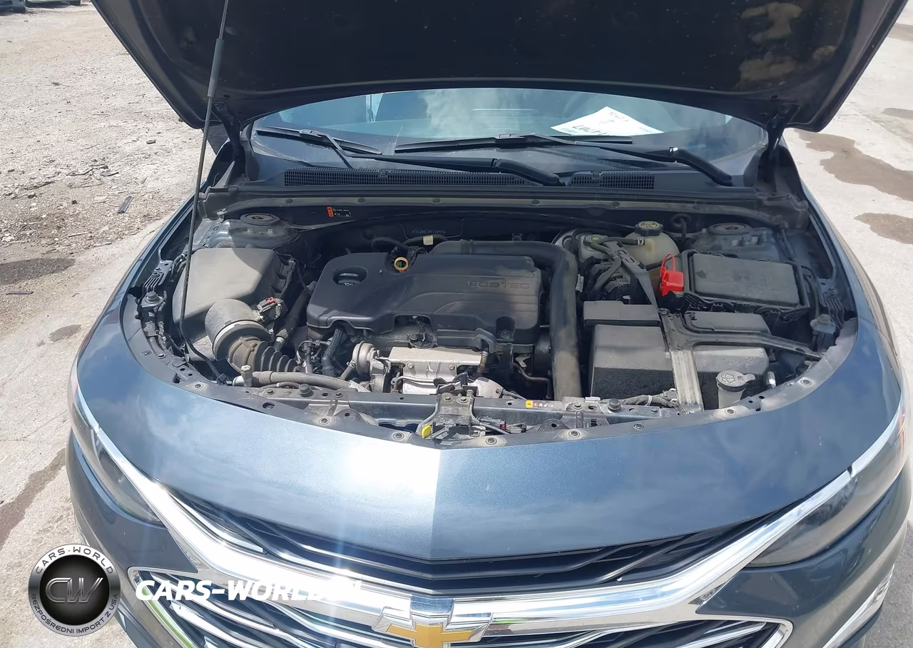 2019 Chevrolet Malibu 1Ls VIN:1G1ZB5ST3KF115979 - 10