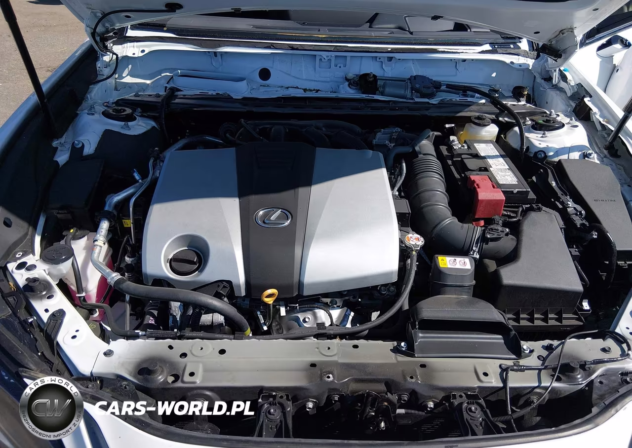 2025 Lexus Es 350 F Sport Handling VIN:58AJZ1B1XSU216928 - 10