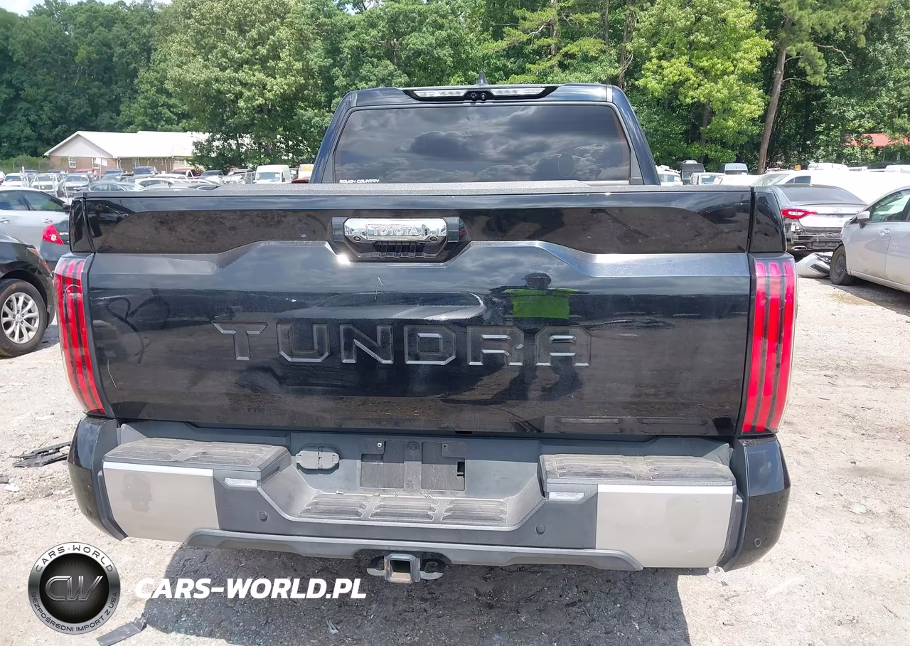 2022 Toyota Tundra Limited VIN:5TFJA5AB3NX010180 - 16