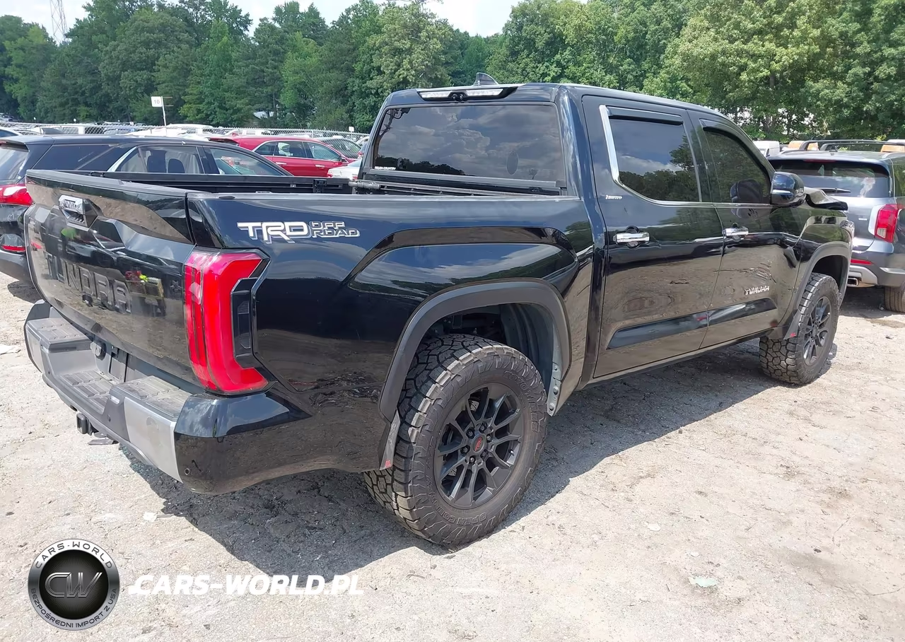 2022 Toyota Tundra Limited VIN:5TFJA5AB3NX010180 - 4