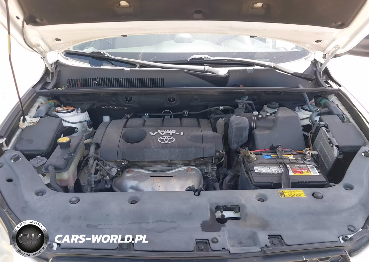 2009 Toyota Rav4 VIN:JTMZF33V69D006454 - 10