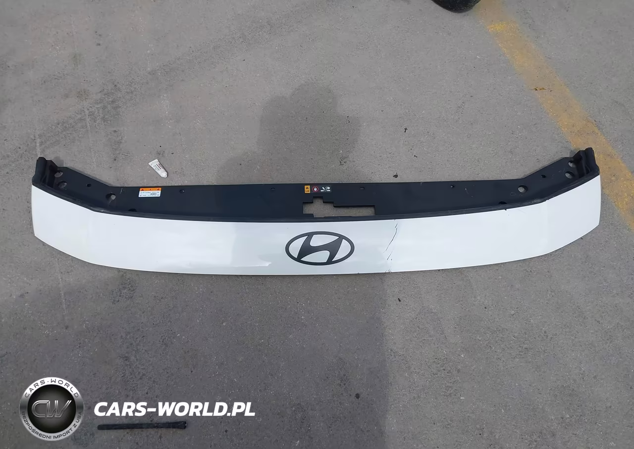 2026 Hyundai Palisade Xrt Pro VIN:KM8RJES29TU061985 - 12