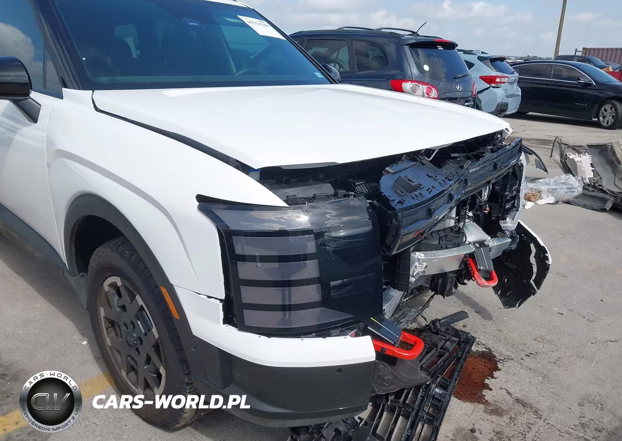 2026 Hyundai Palisade Xrt Pro VIN:KM8RJES29TU061985 - 18