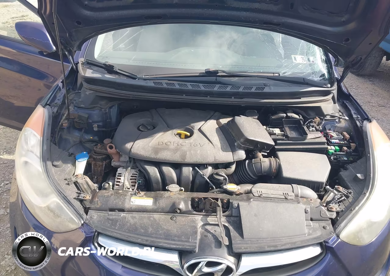 2012 Hyundai Elantra Gls VIN:5NPDH4AE2CH138898 - 10