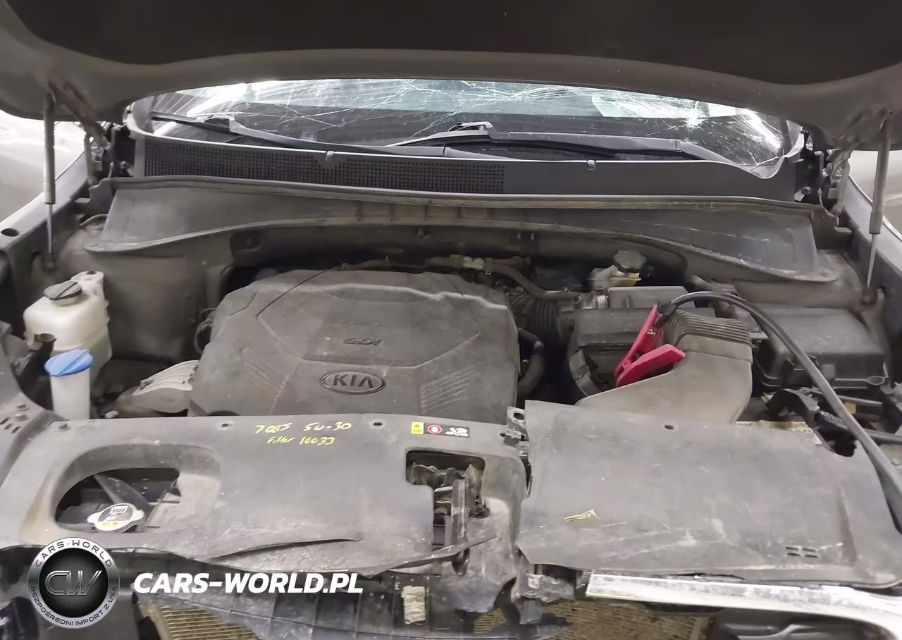2019 Kia Sorento 3.3L Lx VIN:5XYPG4A54KG483730 - 10