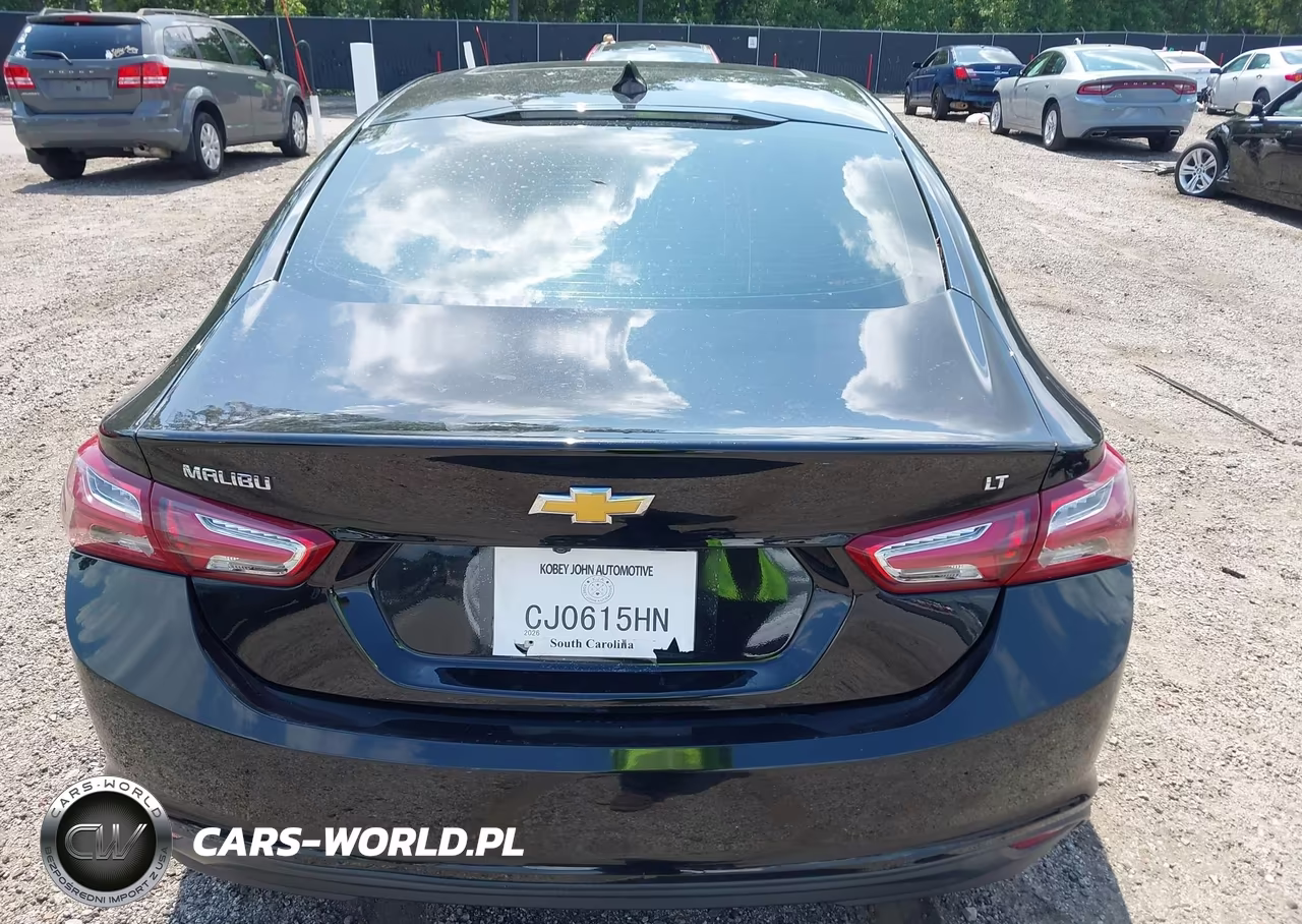 2019 Chevrolet Malibu Lt VIN:1G1ZD5ST7KF224178 - 16