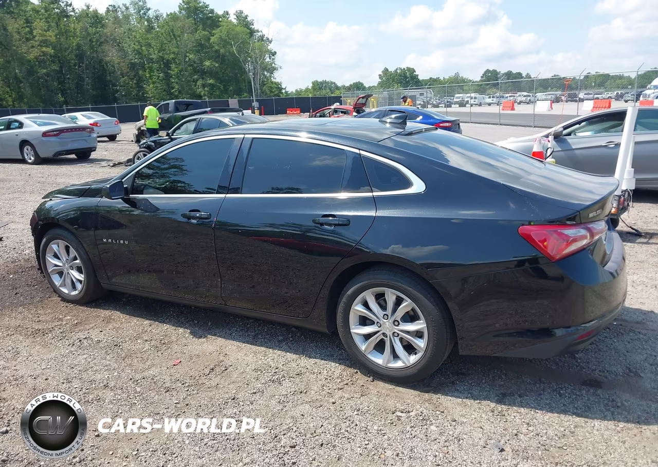 2019 Chevrolet Malibu Lt VIN:1G1ZD5ST7KF224178 - 3