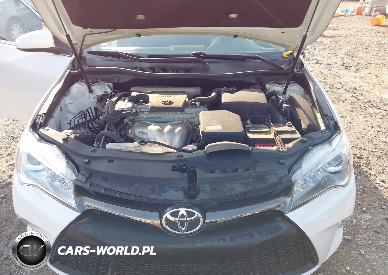 2016 Toyota Camry Se VIN:4T1BF1FKXGU140688 - 10