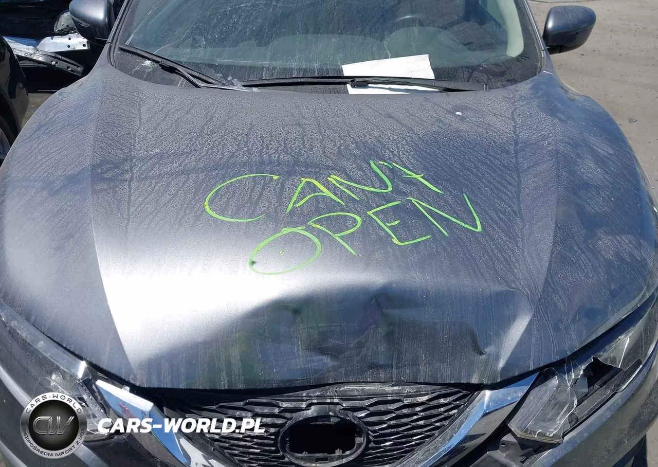 2020 Nissan Rogue Sport Sv Fwd Xtronic Cvt VIN:JN1BJ1CV9LW541815 - 10
