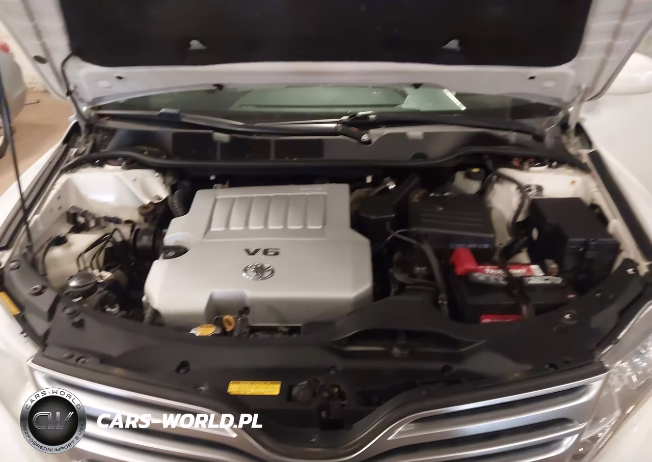 2009 Toyota Venza Base V6 VIN:4T3BK11A09U001688 - 10