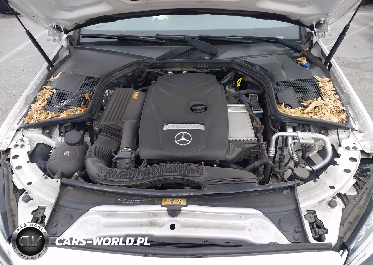 2018 Mercedes-Benz C 300 4Matic VIN:WDDWK4KB9JF700596 - 10