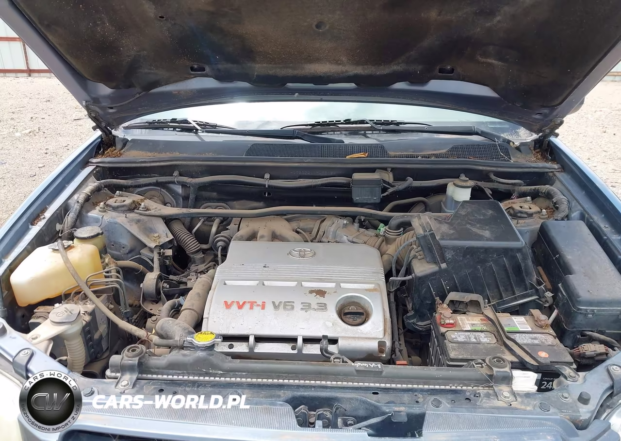 2004 Toyota Highlander V6 VIN:JTEDP21A740019677 - 10
