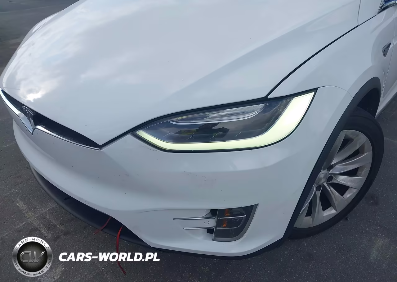 2016 Tesla Model X 60D-70D-75D-90D-P100D VIN:5YJXCBE26GF021247 - 19