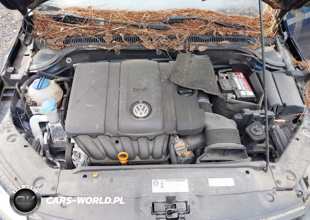 2013 Volkswagen Jetta 2.5L Se VIN:3VWDP7AJ7DM420240 - 10