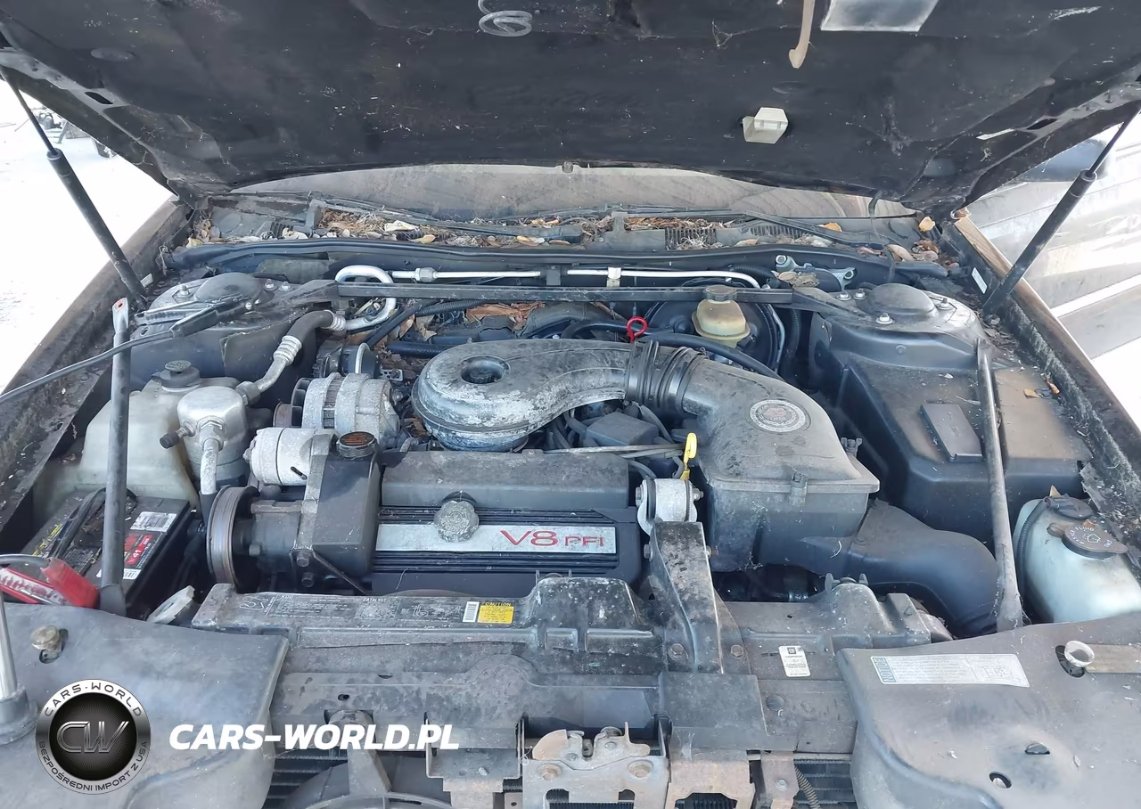 1992 Cadillac Eldorado VIN:1G6EL13B1NU628376 - 10