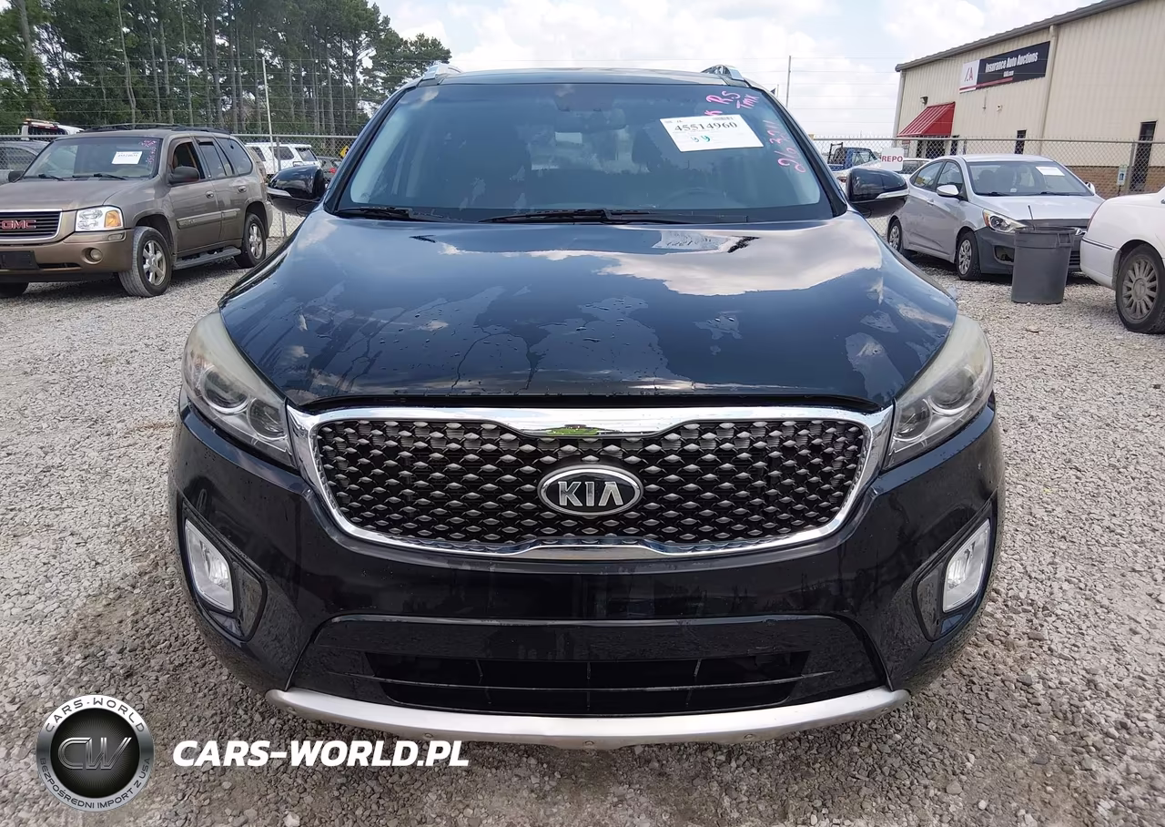 2017 Kia Sorento 3.3L Sx VIN:5XYPK4A5XHG263211 - 12